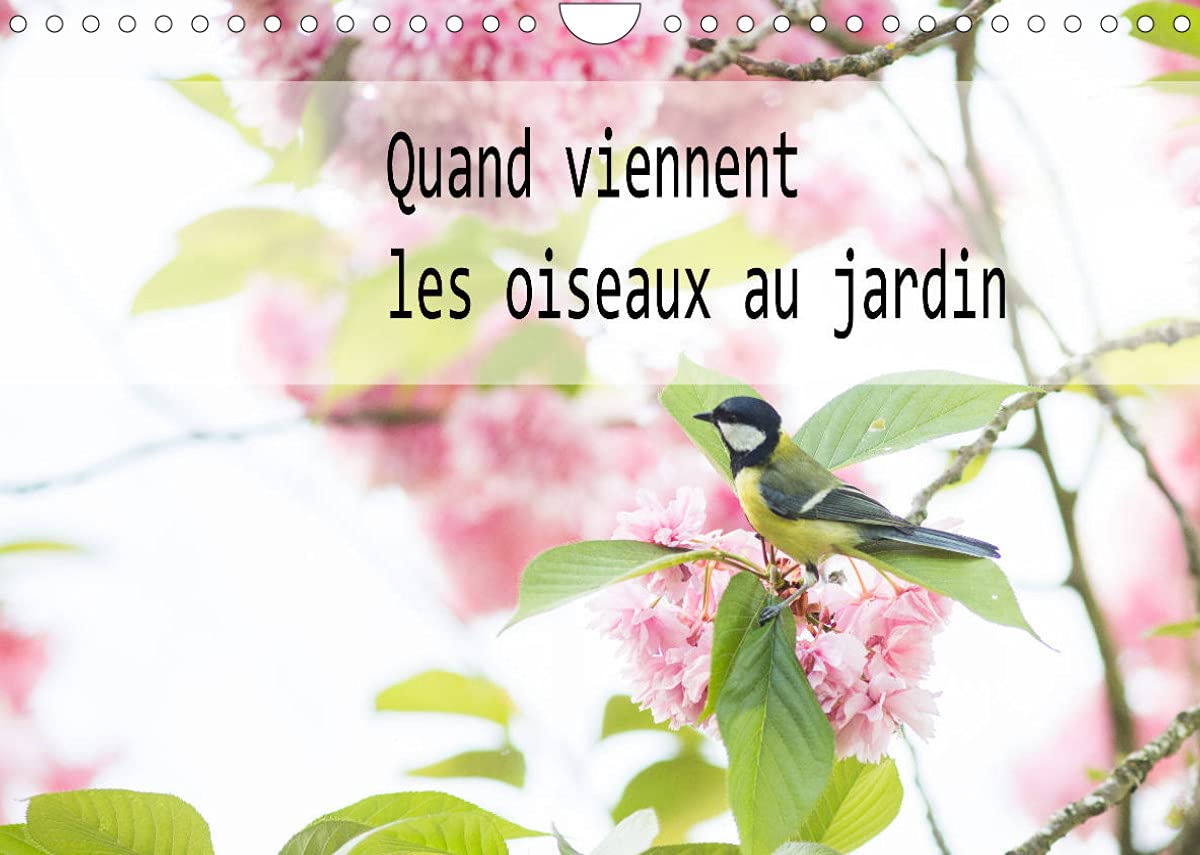 Quand viennent les oiseaux au jardin (Calendrier mural 2022 DIN A4 horizontal): Les oiseaux qui viennent dans le jardin (Calendrier mensuel, 14 Pages ) Leisure, Home & Garden