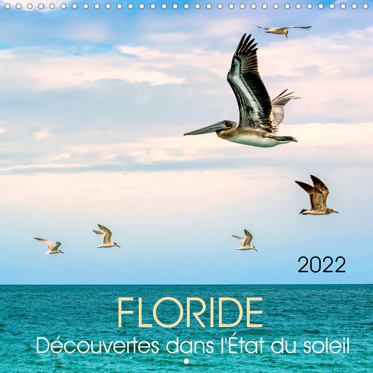 Floride - Découvertes dans l'État du soleil (Calendrier mural 2022 300 × 300 mm Square): Le sud enchanteur des États-Unis (Calendrier mensuel, 14 Pages ) Leisure, Home & Garden