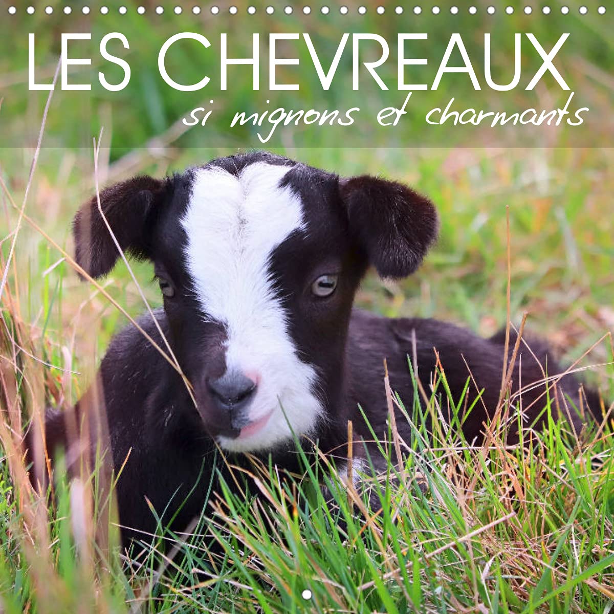 Les chevreaux, si mignons et charmants (Calendrier mural 2022 300 × 300 mm Square): Petites créatures adorables (Calendrier mensuel, 14 Pages ) book