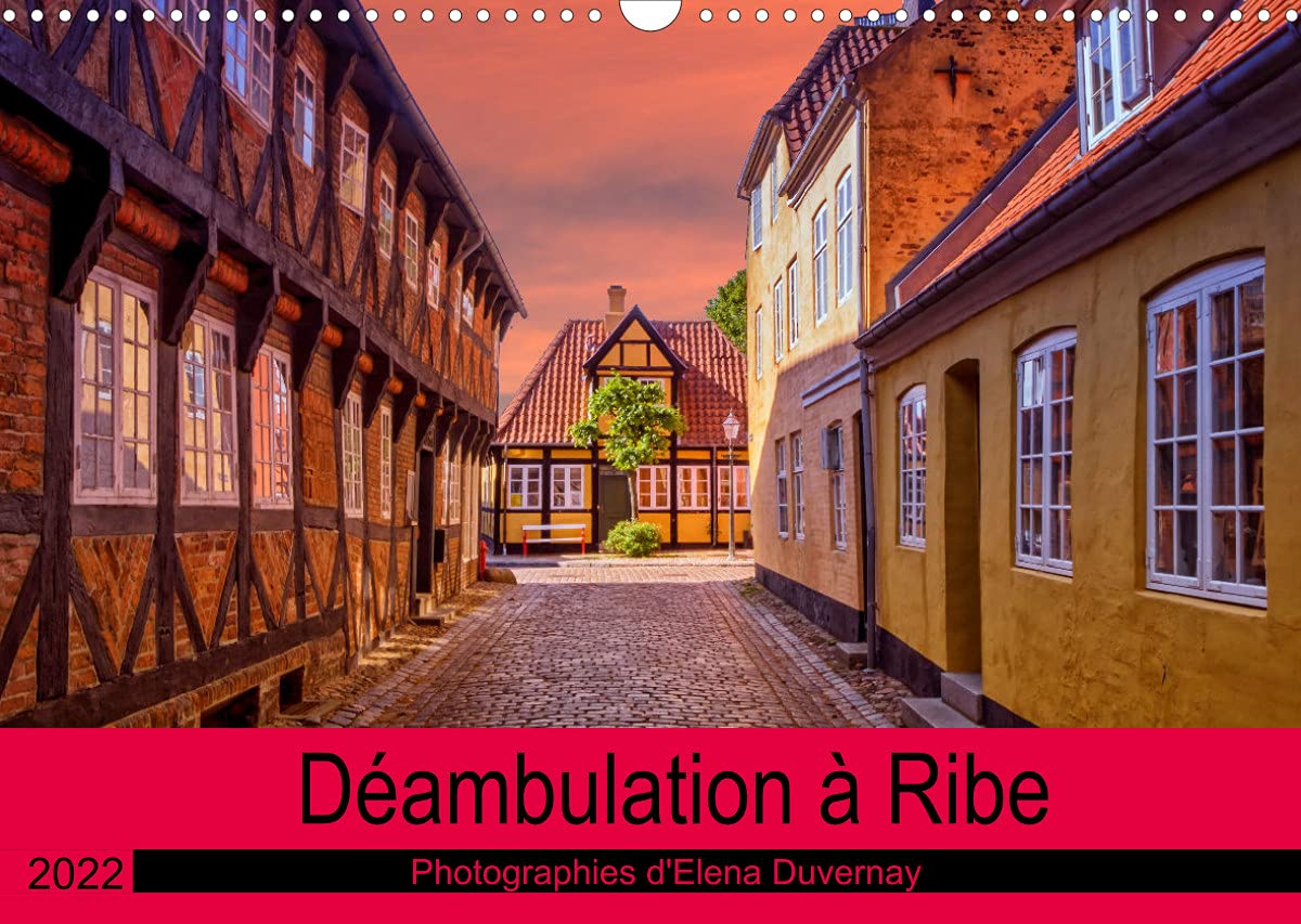 Déambulation à Ribe (Calendrier mural 2022 DIN A3 horizontal): Promenade estivale dans les rues de Ribe au Danemark (Calendrier mensuel, 14 Pages ) book