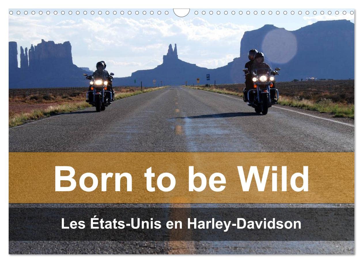Born to be wild - Les États-Unis en Harley-Davidson (Calendrier mural 2023 DIN A3 horizontal): Les magnifiques paysages du Sud-Ouest américain vus de ... d'une Harley (Calendrier mensuel, 14 Pages ) book