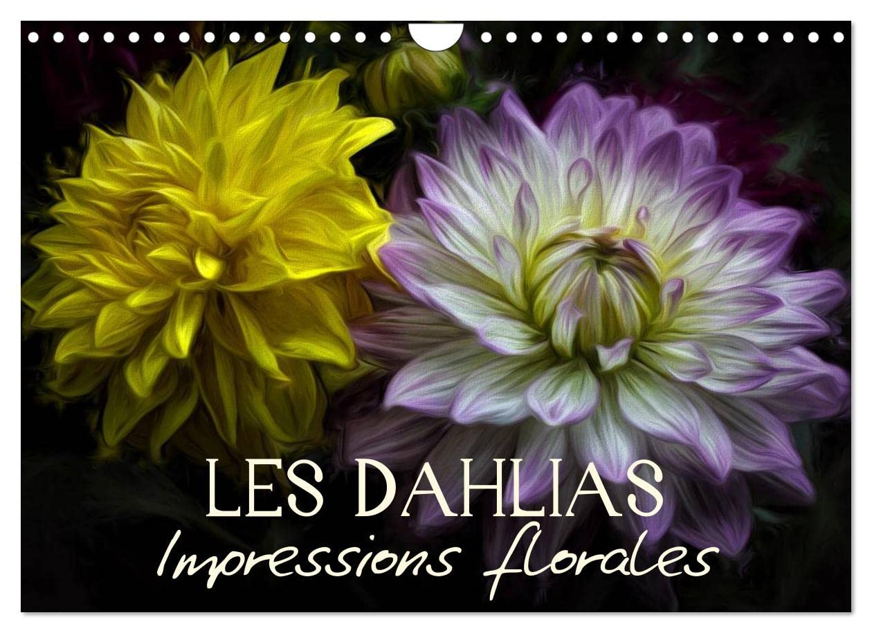 Les Dahlias Impressions florales (Calendrier mural 2023 DIN A4 horizontal): Egayez votre quotidien ! (Calendrier mensuel, 14 Pages ) Leisure, Home & Garden