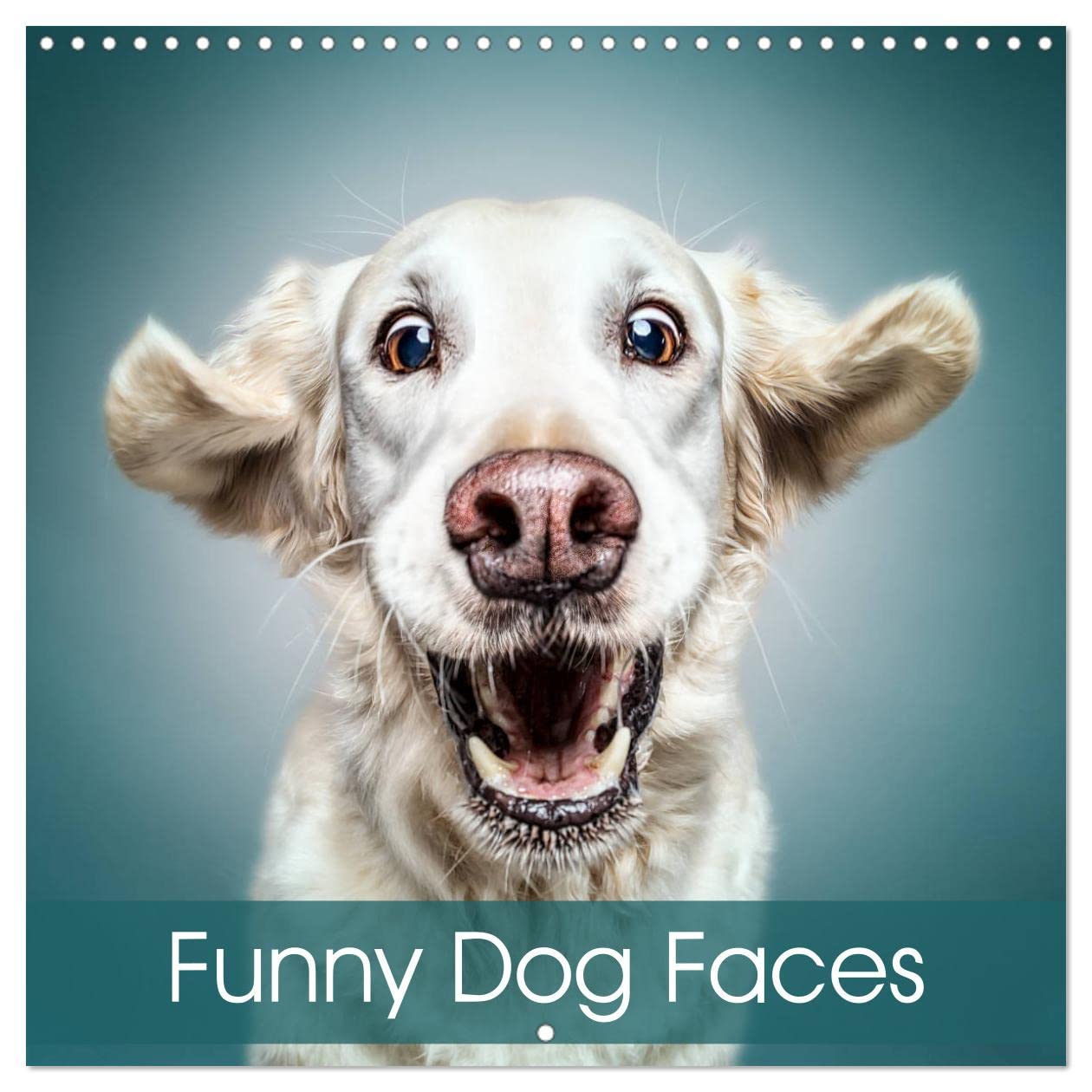 Funny Dog Faces (Wall Calendar 2023 300 × 300 mm Square): Gorgeous dog faces with a touch of humour (Monthly calendar, 14 pages ) Leisure, Home & Garden