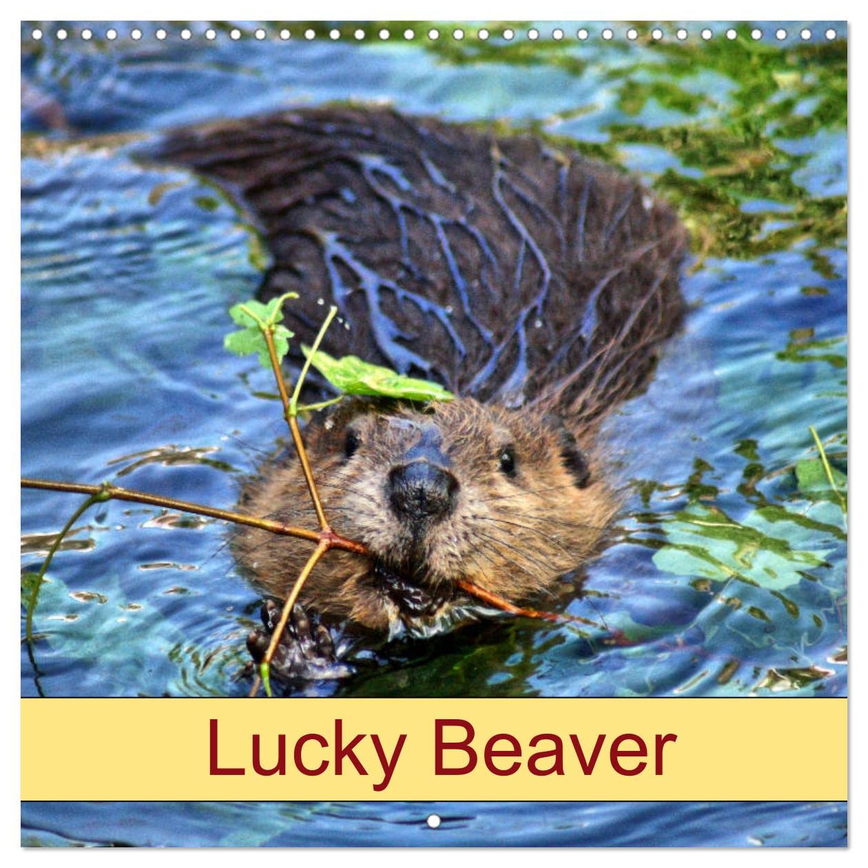 Lucky Beaver (Wall Calendar 2023 300 × 300 mm Square): Rodents and Wild Animals (Monthly calendar, 14 pages ) Film, Art & Culture