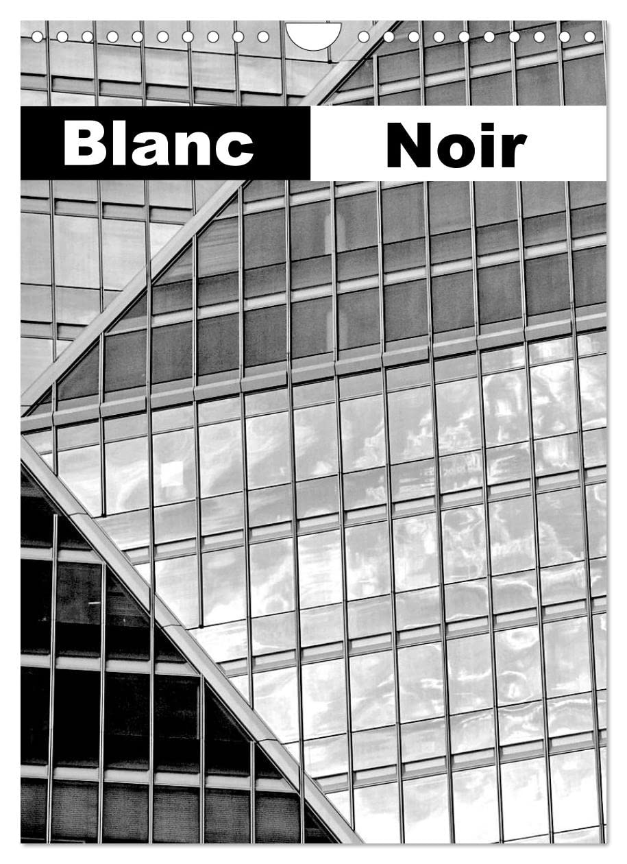 Blanc Noir (Calendrier mural 2023 DIN A4 vertical): Le noir et blanc dans l'architecture contemporaine (Calendrier mensuel, 14 Pages ) Leisure, Home & Garden