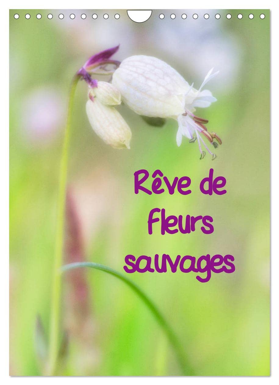 Rêve de fleurs sauvages (Calendrier mural 2023 DIN A4 vertical): Des fleurs sauvages photographiées comme dans un rêve (Organiseur familial, 14 Pages ) Leisure, Home & Garden