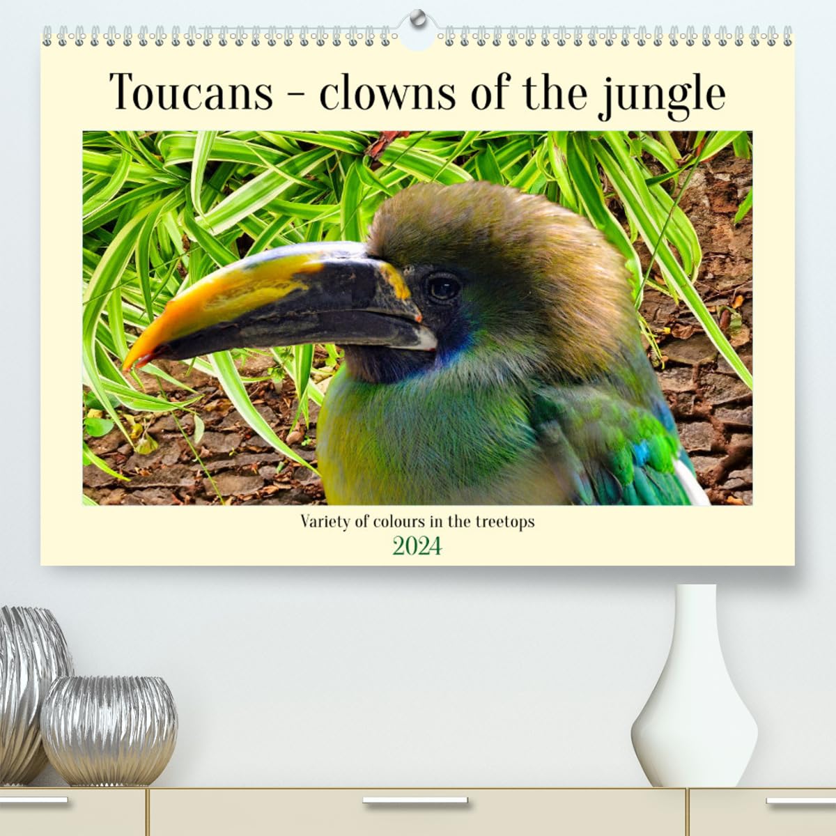 Toucans - clowns of the jungle (hochwertiger Premium Wandkalender 2024 DIN A2 quer), Kunstdruck in Hochglanz Books