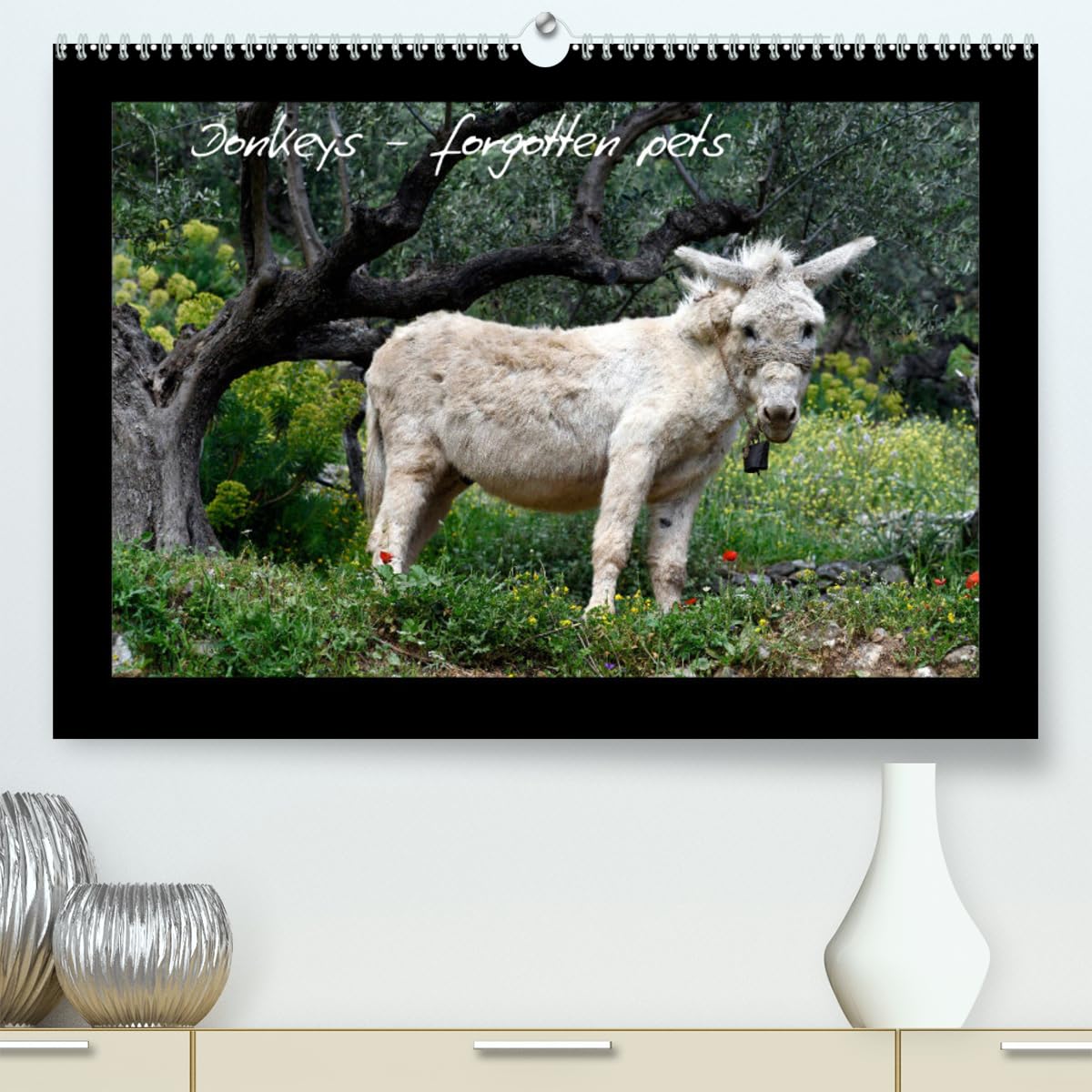 Donkeys - forgotten pets (hochwertiger Premium Wandkalender 2024 DIN A2 quer), Kunstdruck in Hochglanz Books