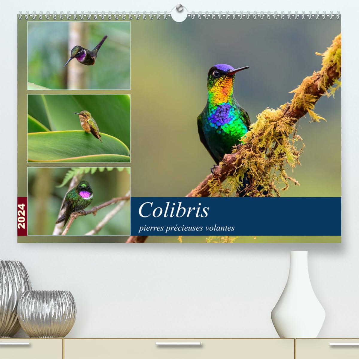 Colibris - pierres précieuses volantes (hochwertiger Premium Wandkalender 2024 DIN A2 quer), Kunstdruck in Hochglanz Books