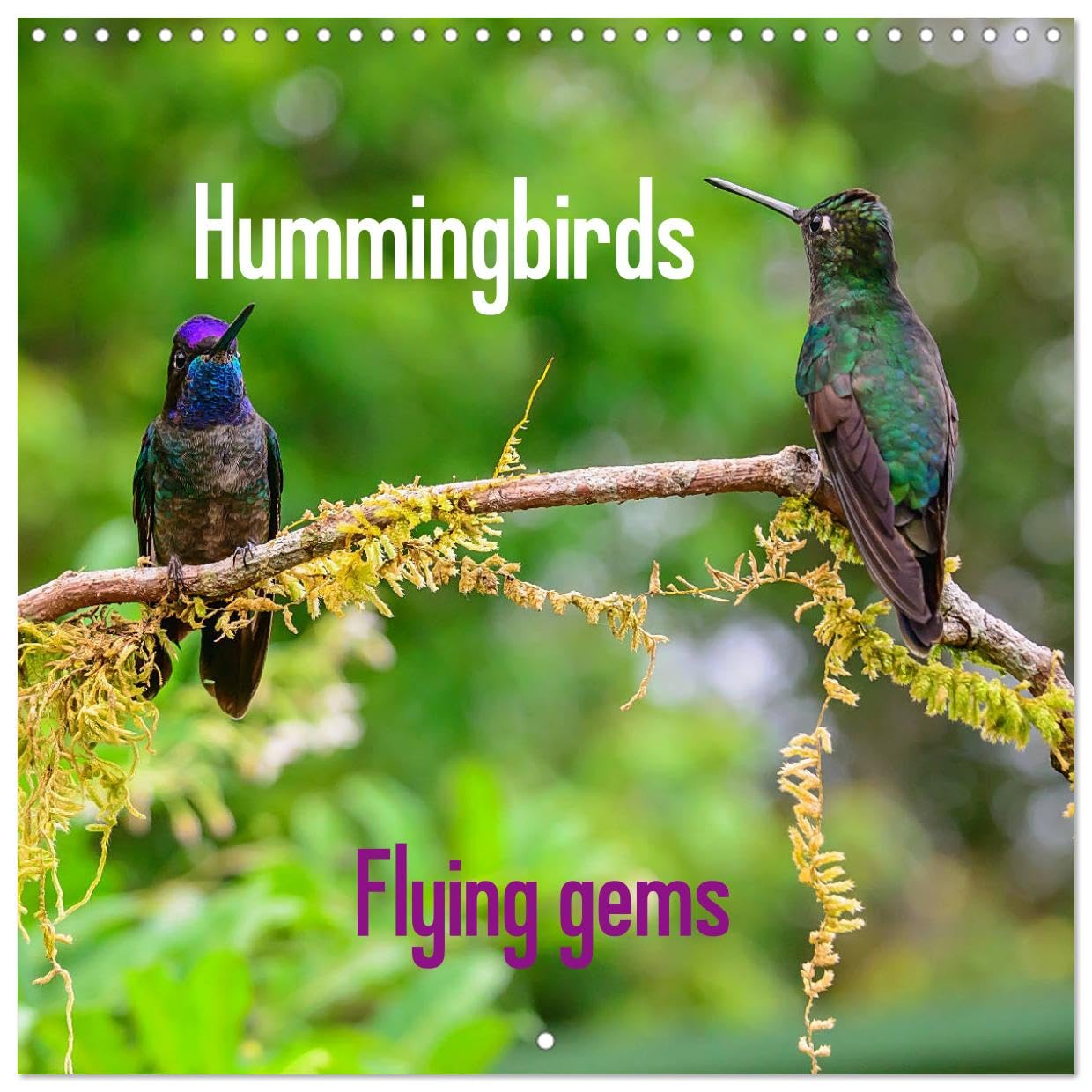 Hummingbirds - Flying gems (Wandkalender 2024 30x30 cm 30x60 cm geöffnet) CALVENDO Broschürenkalender mit Monatskalendarium zum Eintragen Books