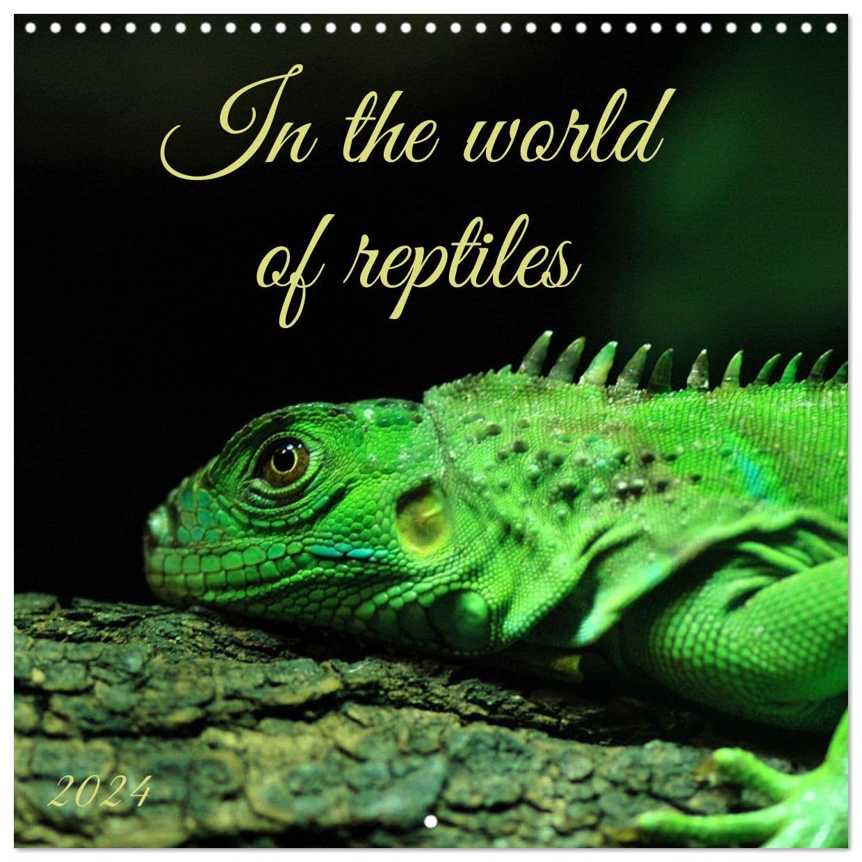In the world of reptiles (Wandkalender 2024 30x30 cm 30x60 cm geöffnet) CALVENDO Broschürenkalender mit Monatskalendarium zum Eintragen Books