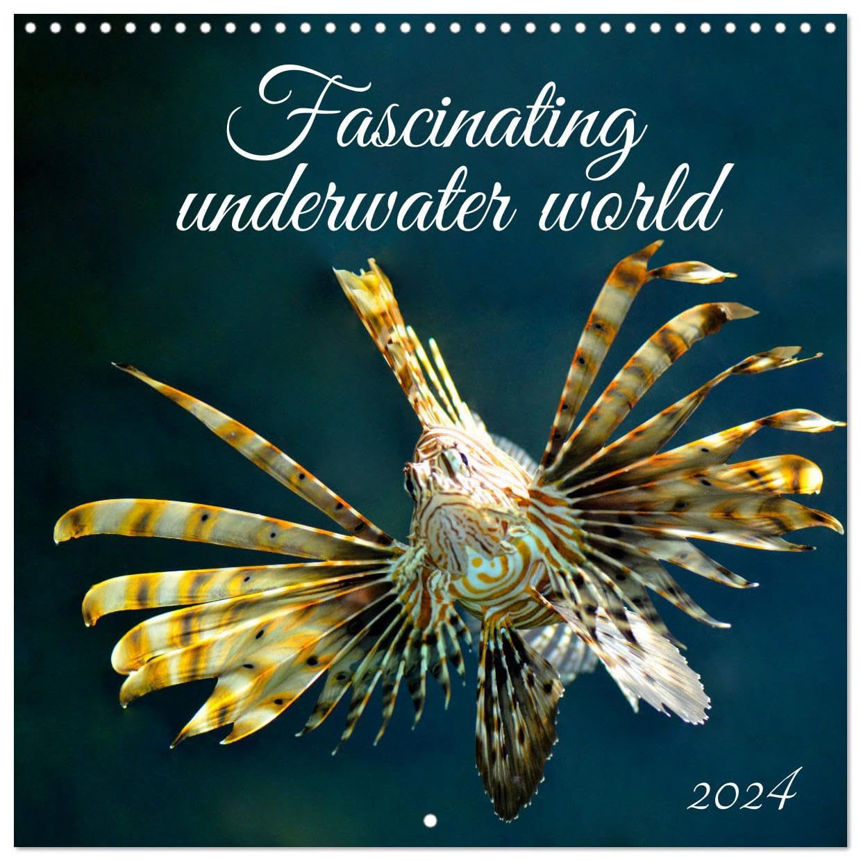 Fascinating underwater world (Wandkalender 2024 30x30 cm 30x60 cm geöffnet) CALVENDO Broschürenkalender mit Monatskalendarium zum Eintragen Books