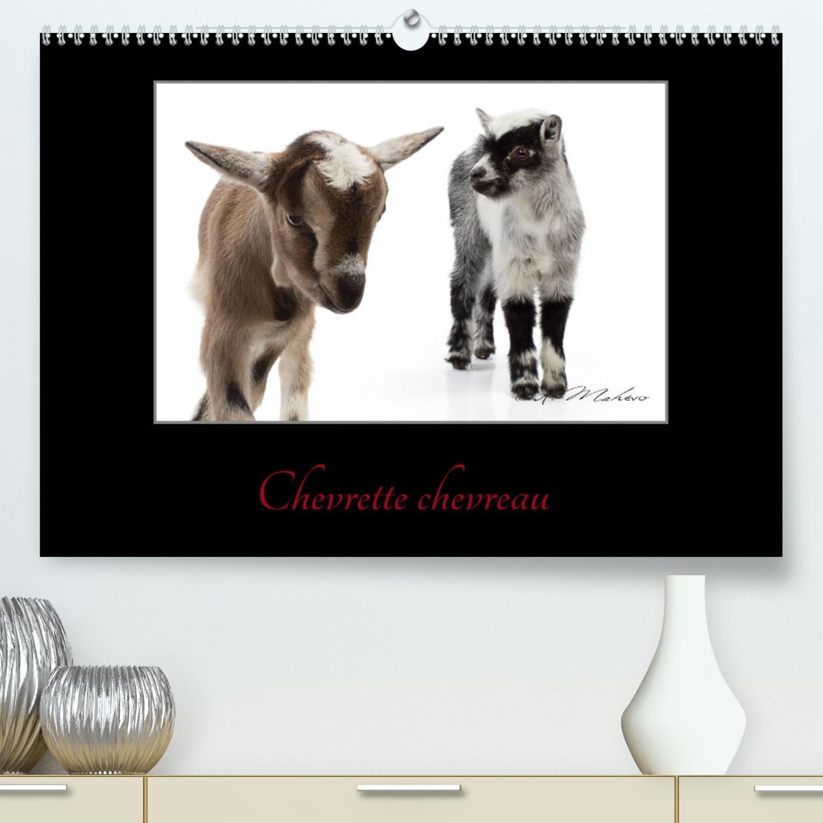 Chevrette chevreau (hochwertiger Premium Wandkalender 2024 DIN A2 quer), Kunstdruck in Hochglanz Books
