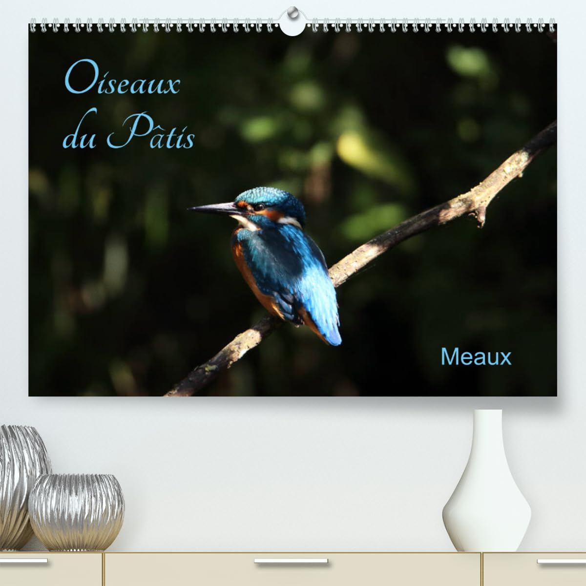 Oiseaux du Pâtis (hochwertiger Premium Wandkalender 2024 DIN A2 quer), Kunstdruck in Hochglanz Books