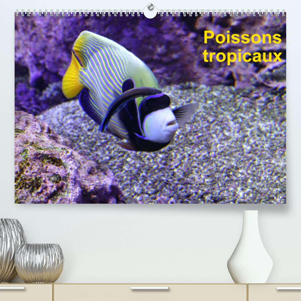 Poissons tropicaux (hochwertiger Premium Wandkalender 2024 DIN A2 quer), Kunstdruck in Hochglanz Books
