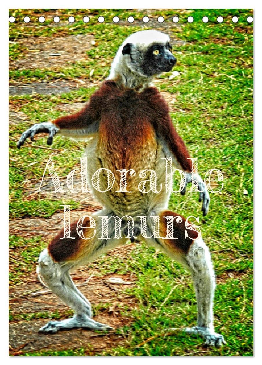 Adorable lemurs (Tischkalender 2024 DIN A5 hoch), CALVENDO Monatskalender Books