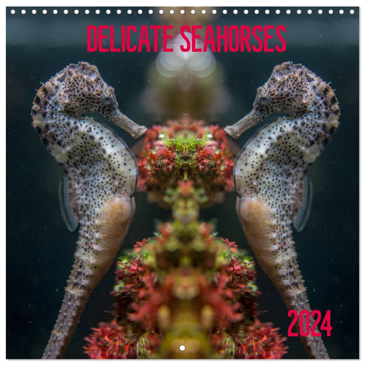 Delicate seahorses (Wandkalender 2024 30x30 cm 30x60 cm geöffnet) CALVENDO Broschürenkalender mit Monatskalendarium zum Eintragen Books