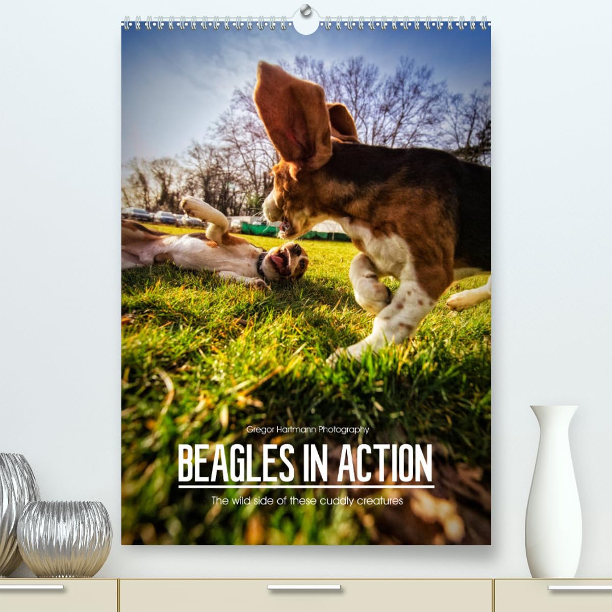Beagles in action (hochwertiger Premium Wandkalender 2024 DIN A2 hoch), Kunstdruck in Hochglanz Books