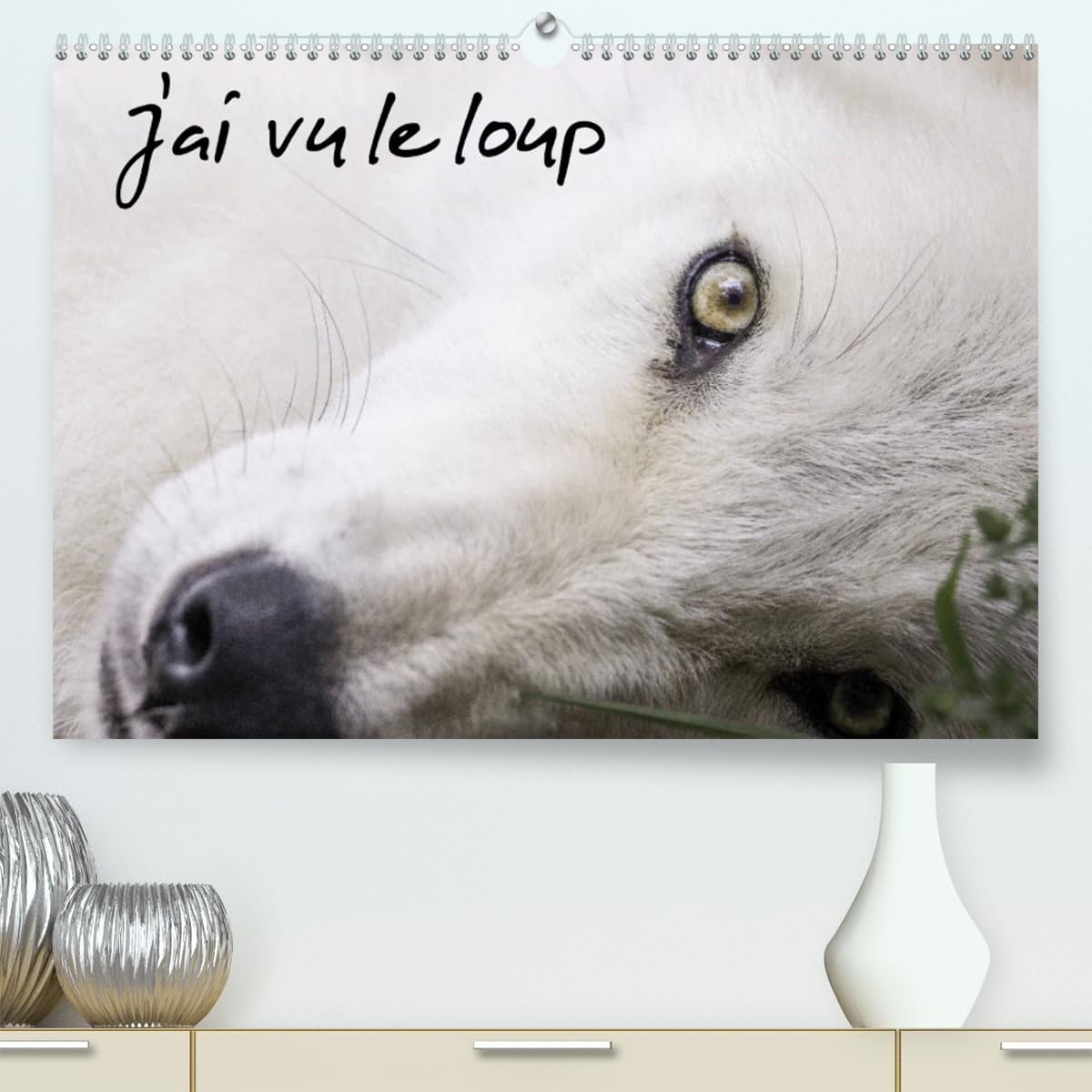 J'ai vu le loup (hochwertiger Premium Wandkalender 2024 DIN A2 quer), Kunstdruck in Hochglanz Books