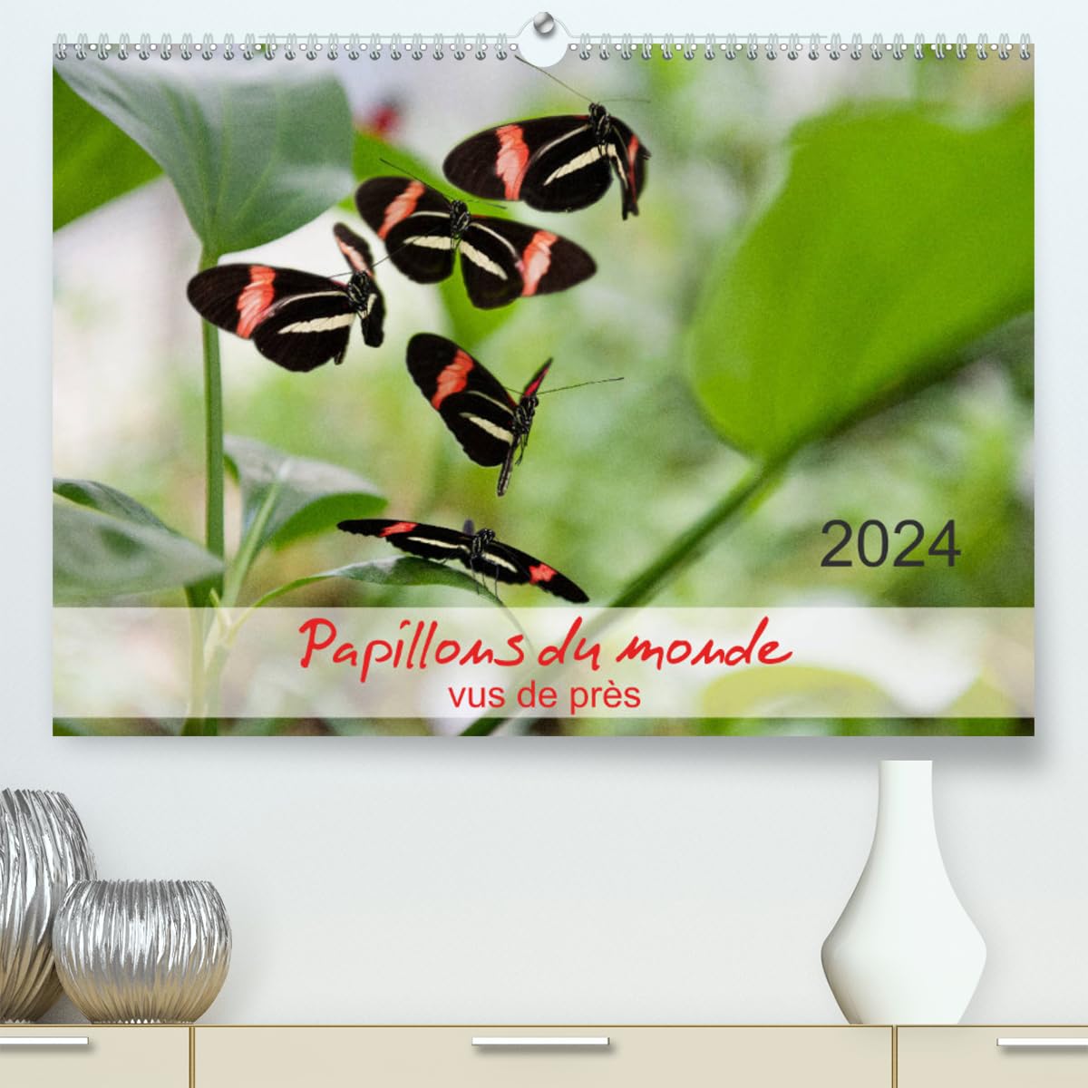 Papillons du monde, vus de près (hochwertiger Premium Wandkalender 2024 DIN A2 quer), Kunstdruck in Hochglanz Books