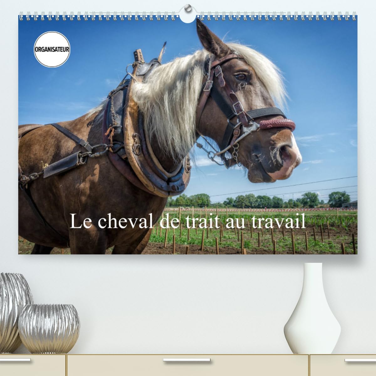Le cheval de trait au travail (hochwertiger Premium Wandkalender 2024 DIN A2 quer), Kunstdruck in Hochglanz Books