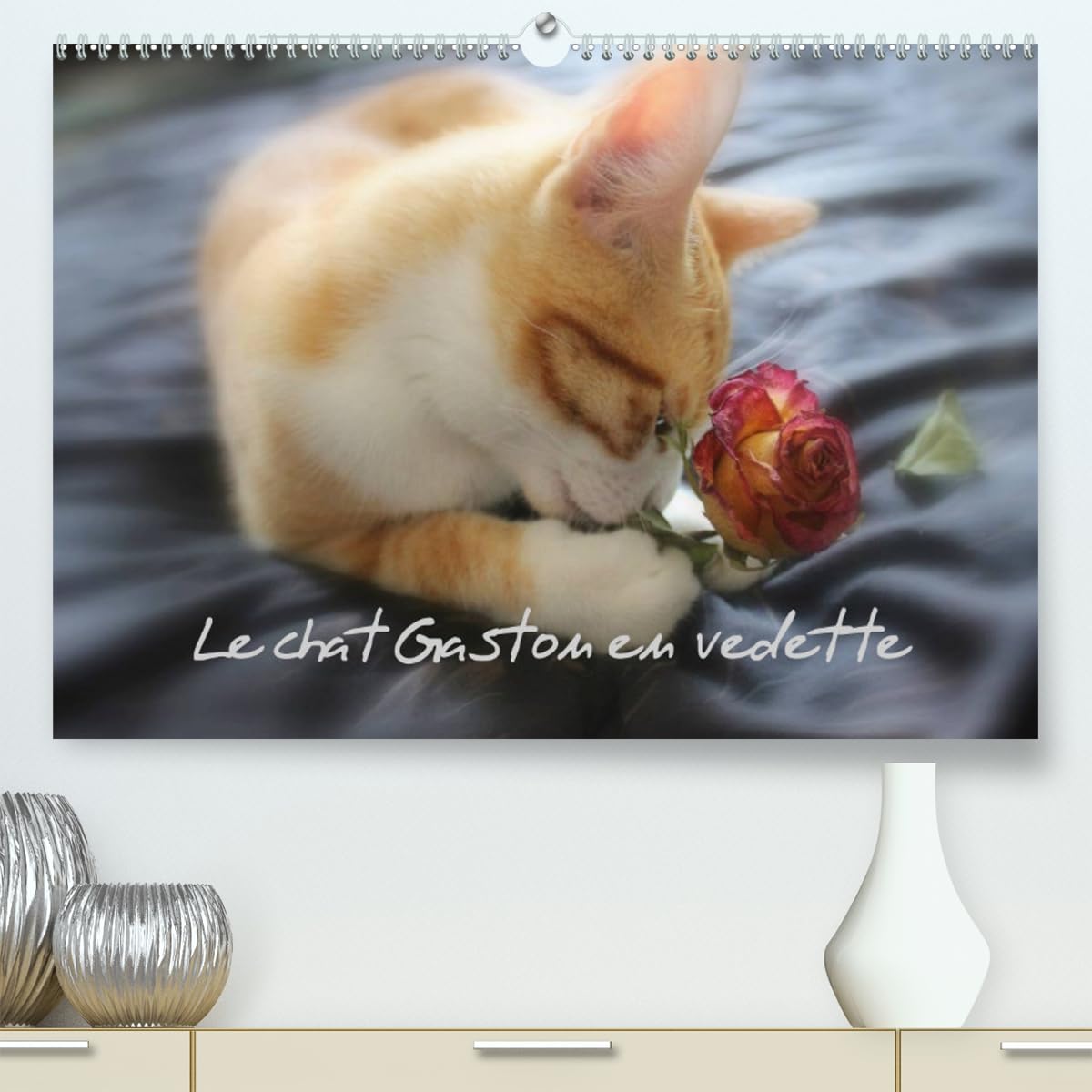 Le chat Gaston en vedette (hochwertiger Premium Wandkalender 2024 DIN A2 quer), Kunstdruck in Hochglanz Books