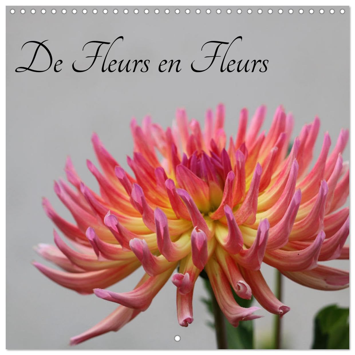 De Fleurs en Fleurs (Calendrier mural carré 2025 30 x 30 cm) Calendrier double avec une page pour vos prises de notes Leisure, Home & Garden