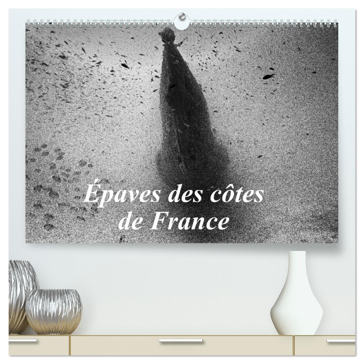Épaves des côtes de France (hochwertiger Premium Wandkalender 2025 DIN A2 quer), Kunstdruck in Hochglanz Books