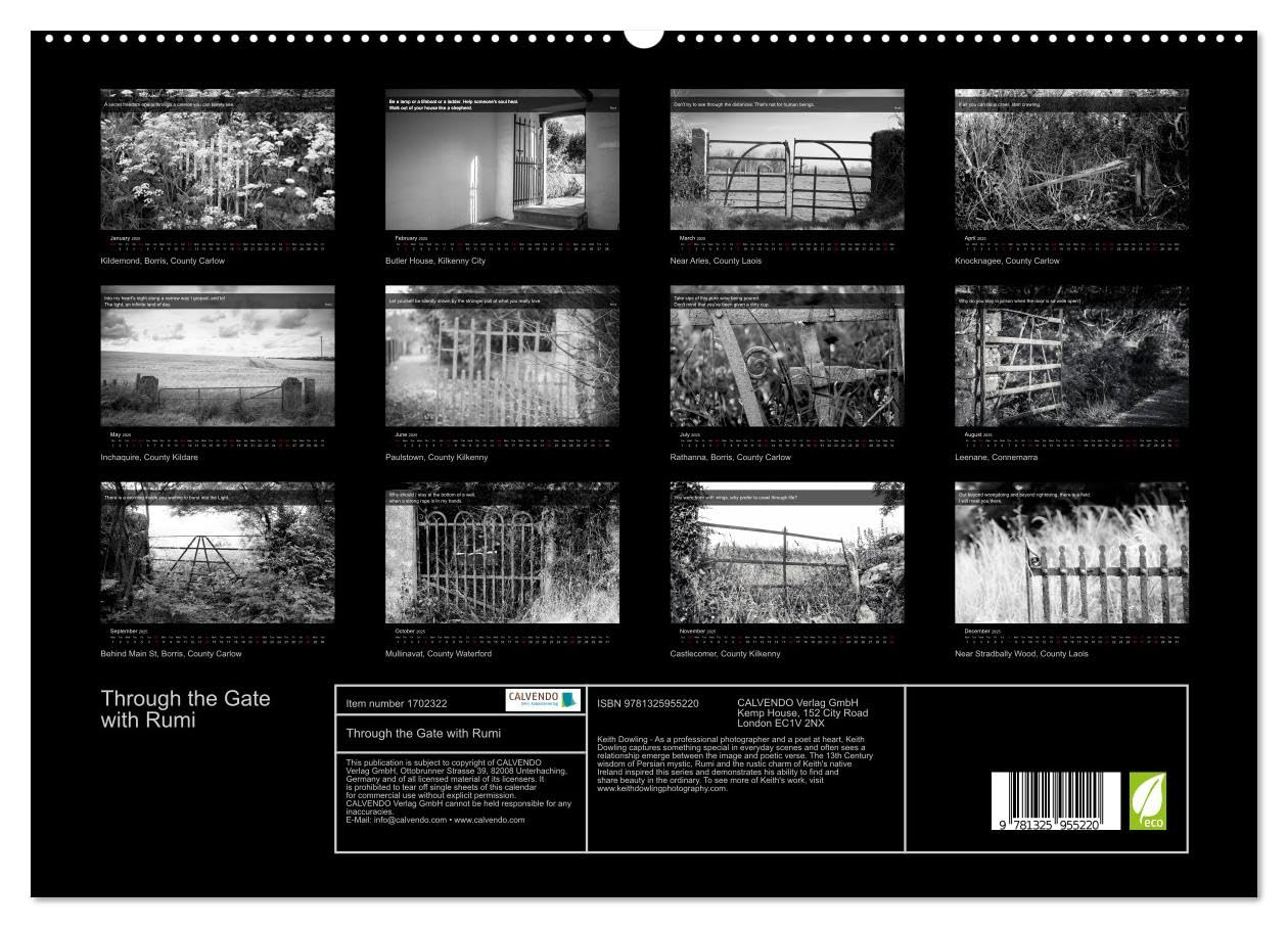 Through the Gate with Rumi (hochwertiger Premium Wandkalender 2025 DIN A2 quer), Kunstdruck in Hochglanz Books