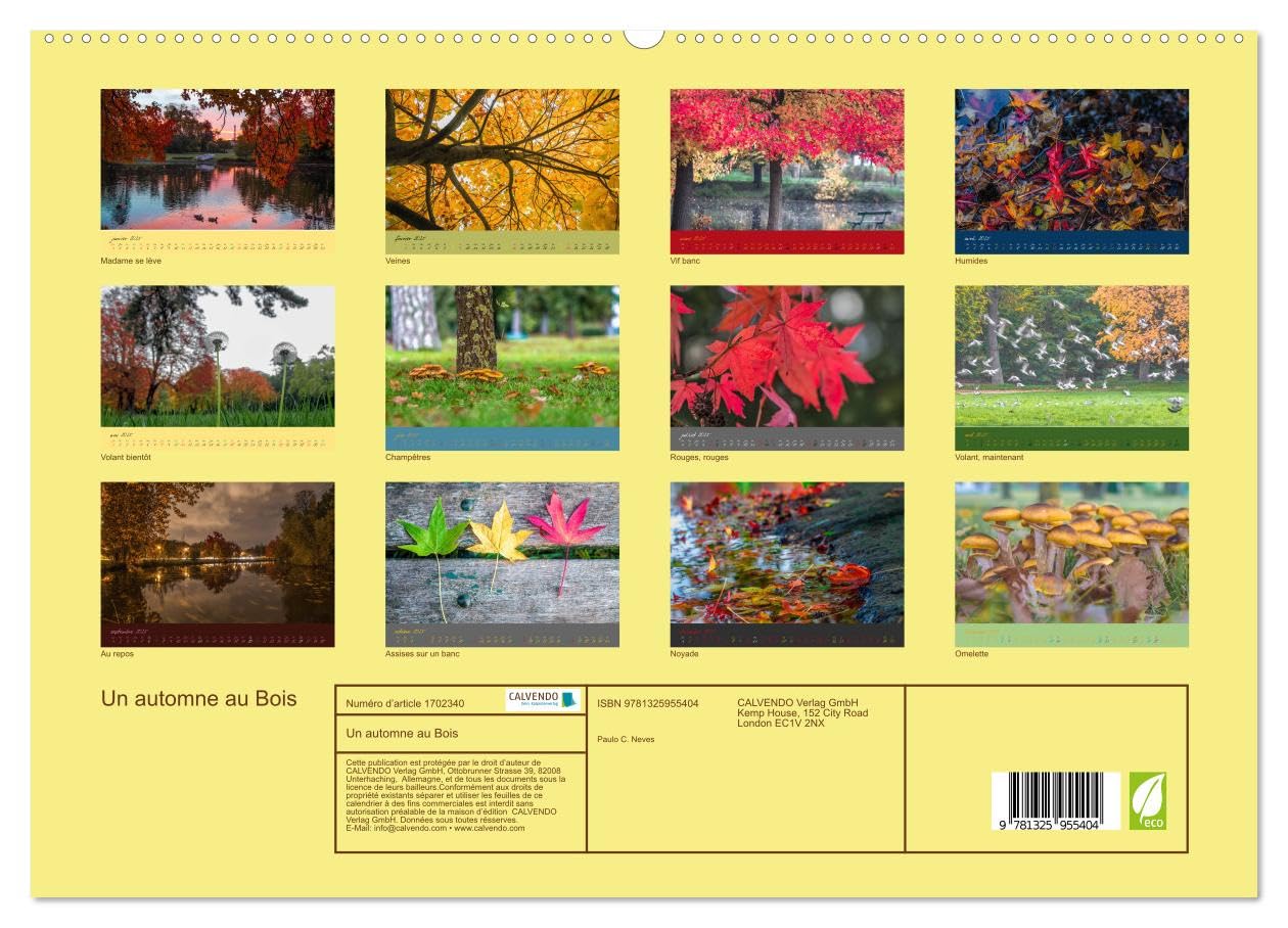 Un automne au Bois (hochwertiger Premium Wandkalender 2025 DIN A2 quer), Kunstdruck in Hochglanz Books