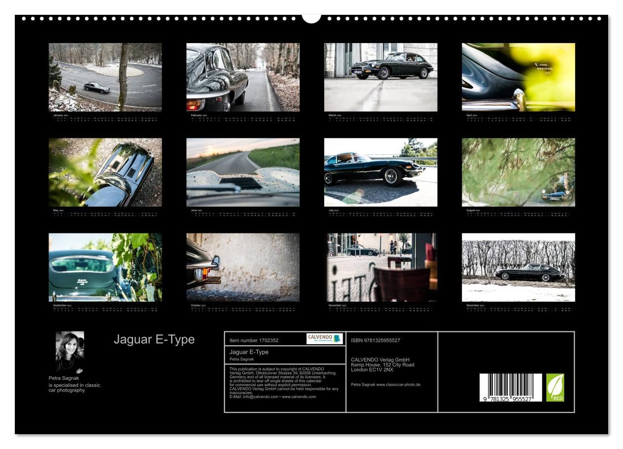 Jaguar E-Type (hochwertiger Premium Wandkalender 2025 DIN A2 quer), Kunstdruck in Hochglanz Books