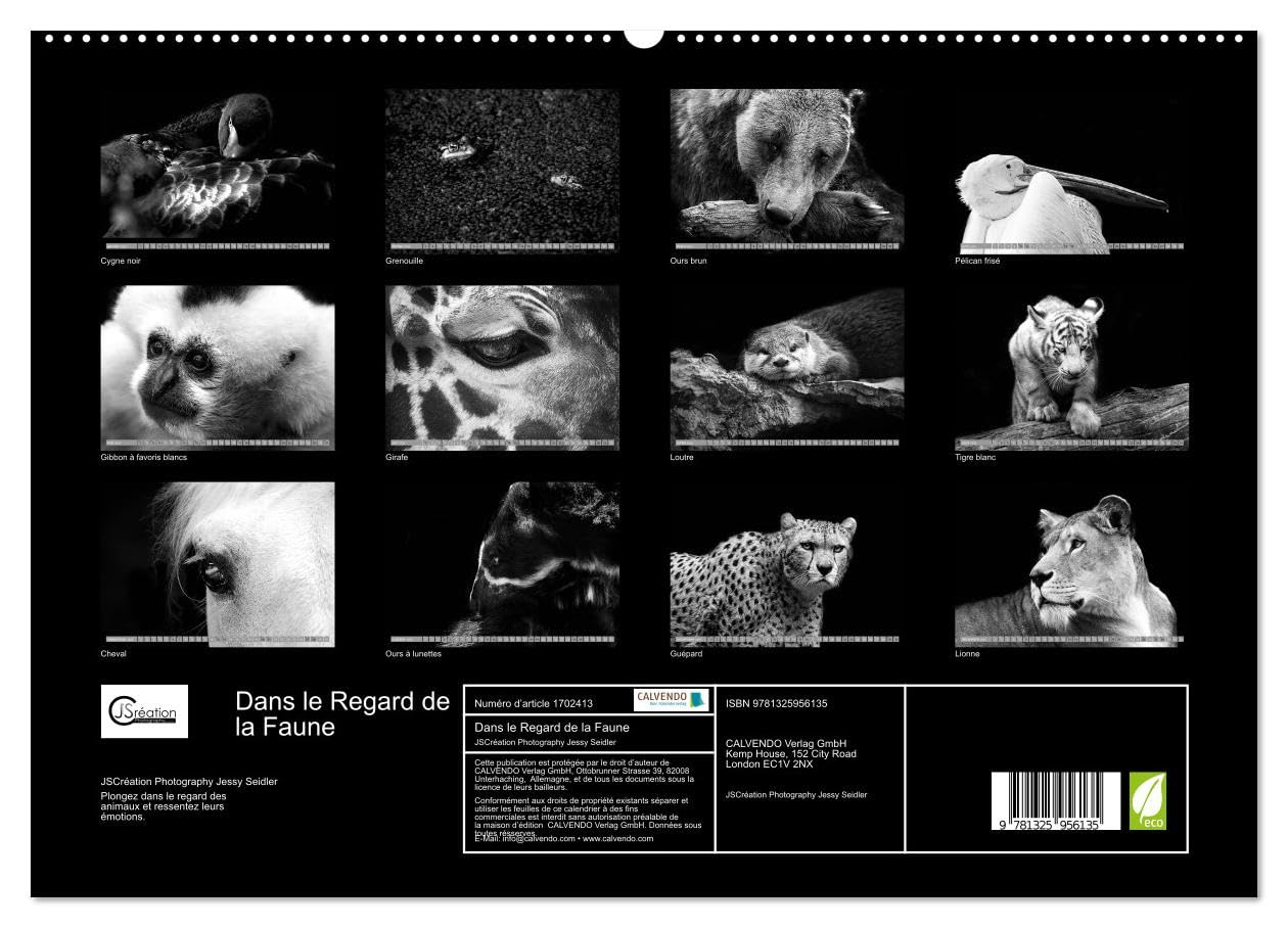 Dans le Regard de la Faune (hochwertiger Premium Wandkalender 2025 DIN A2 quer), Kunstdruck in Hochglanz Books