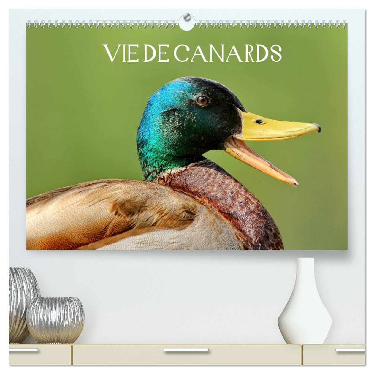 Vie de canards (hochwertiger Premium Wandkalender 2025 DIN A2 quer), Kunstdruck in Hochglanz Books