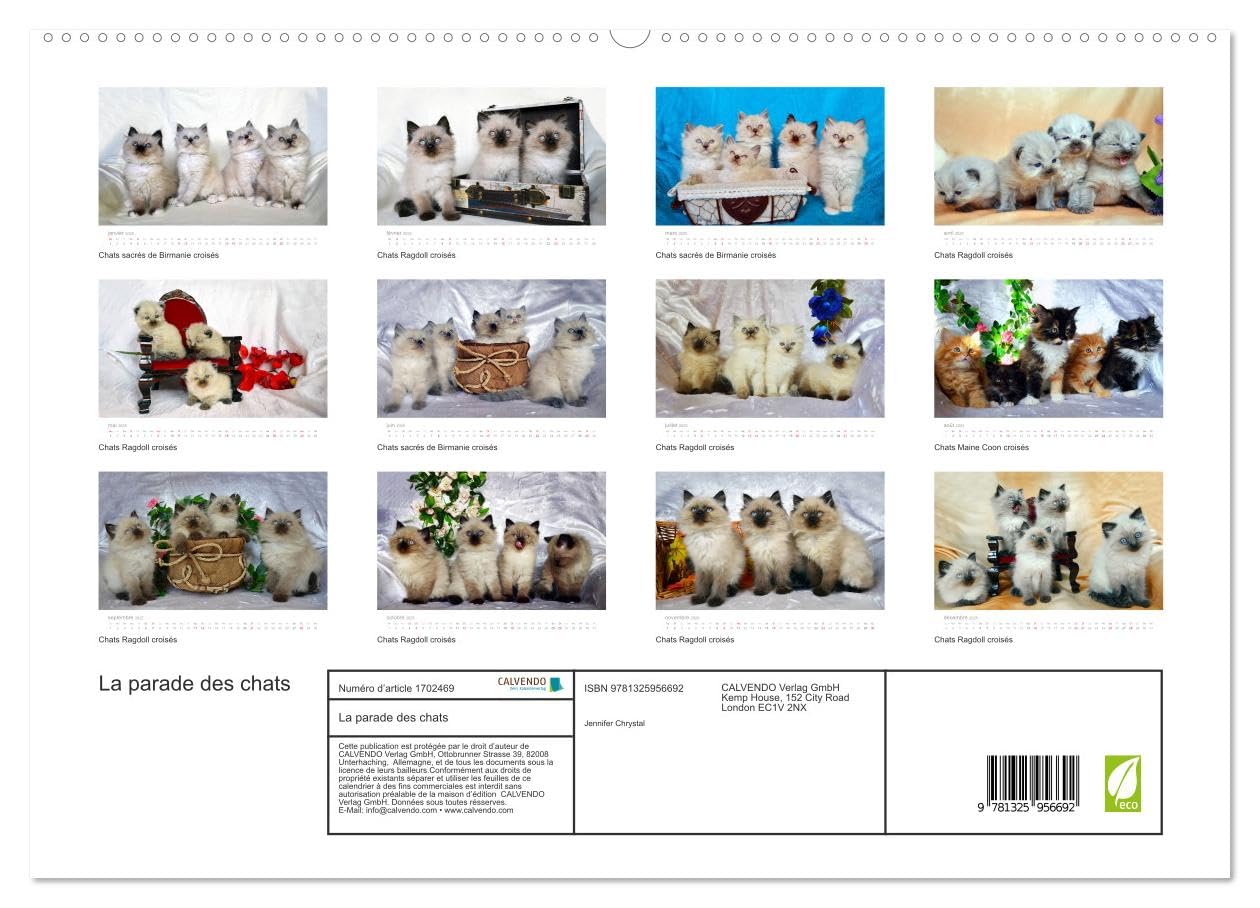 La parade des chats (hochwertiger Premium Wandkalender 2025 DIN A2 quer), Kunstdruck in Hochglanz Books
