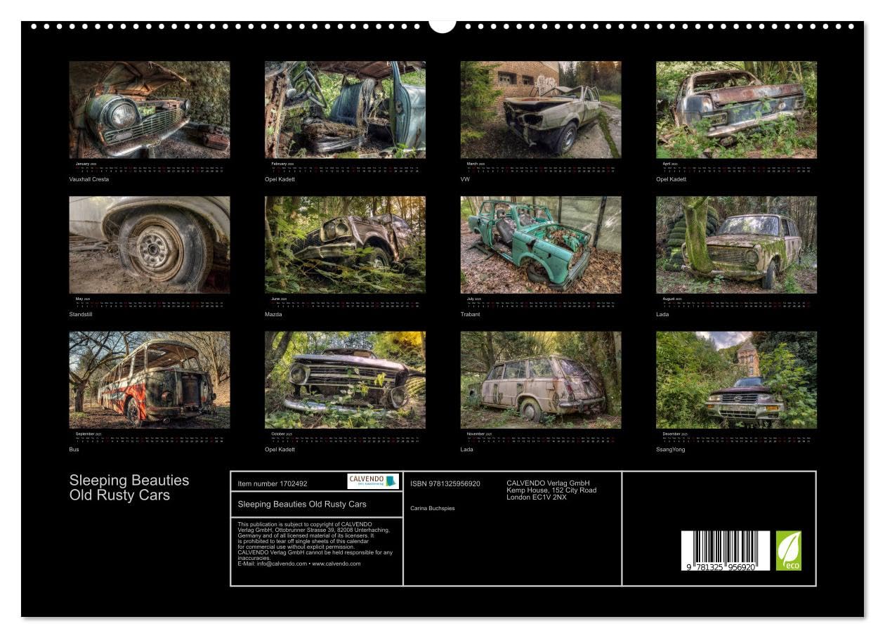 Sleeping Beauties Old Rusty Cars (hochwertiger Premium Wandkalender 2025 DIN A2 quer), Kunstdruck in Hochglanz Books