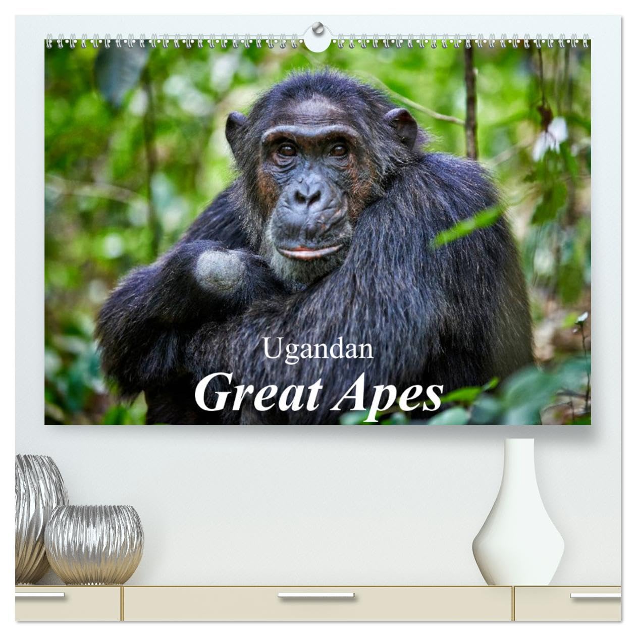 Ugandan Great Apes (hochwertiger Premium Wandkalender 2025 DIN A2 quer), Kunstdruck in Hochglanz Books