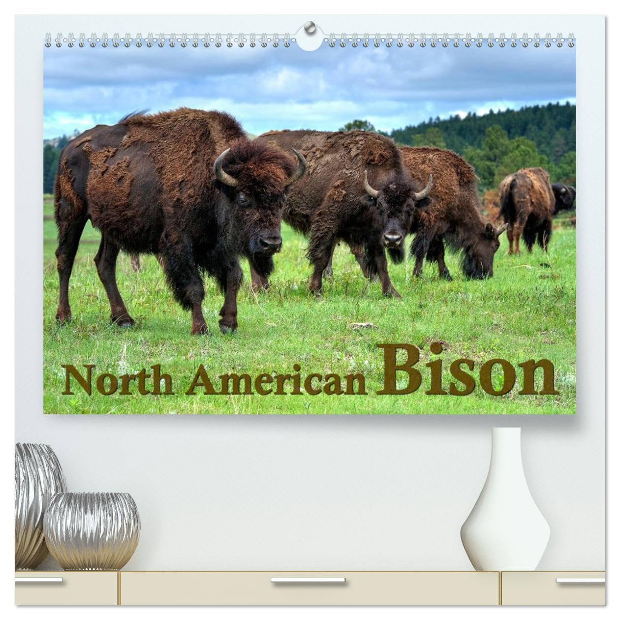 North American Bison (hochwertiger Premium Wandkalender 2025 DIN A2 quer), Kunstdruck in Hochglanz Books