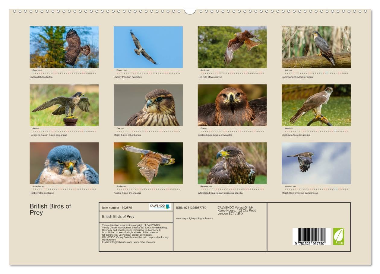 British Birds of Prey (hochwertiger Premium Wandkalender 2025 DIN A2 quer), Kunstdruck in Hochglanz Books