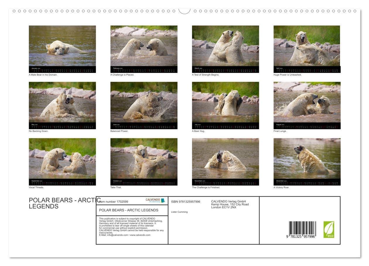 POLAR BEARS - ARCTIC LEGENDS (hochwertiger Premium Wandkalender 2025 DIN A2 quer), Kunstdruck in Hochglanz Books