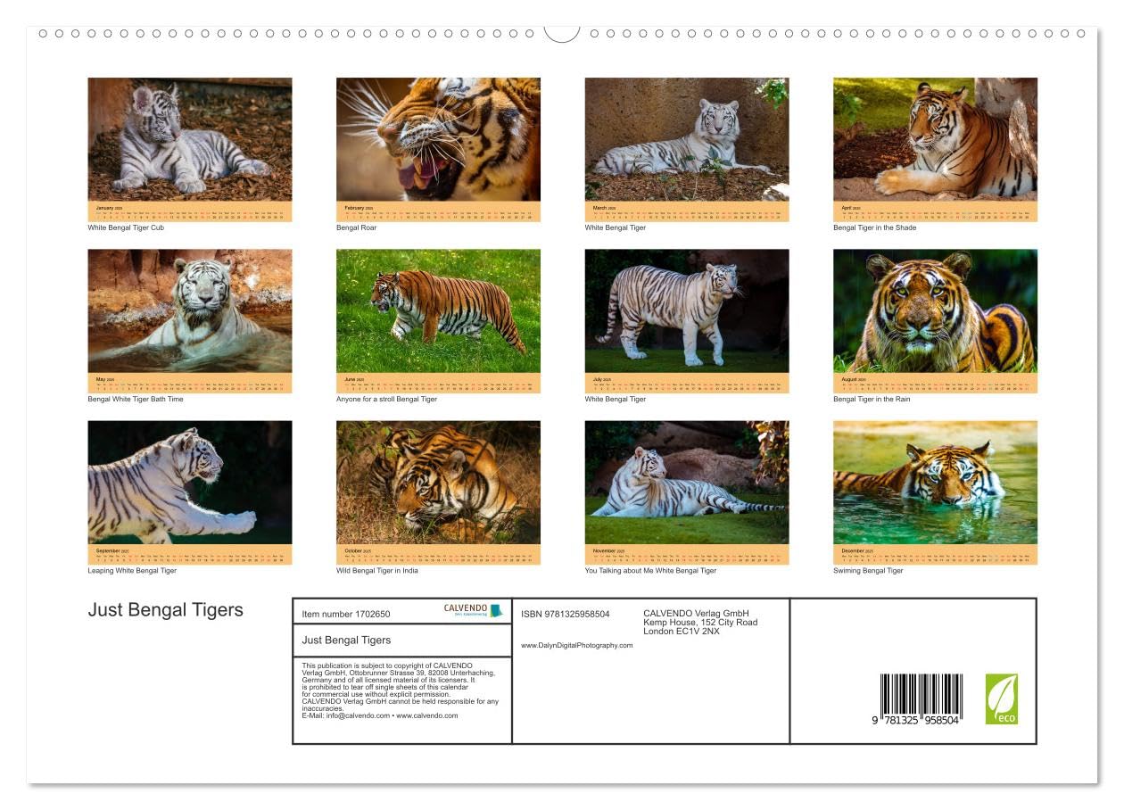 Just Bengal Tigers (hochwertiger Premium Wandkalender 2025 DIN A2 quer), Kunstdruck in Hochglanz Books