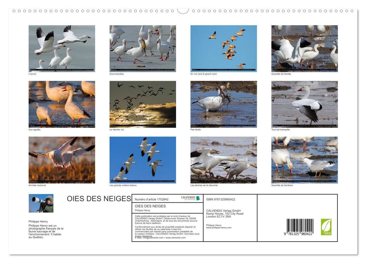OIES DES NEIGES (hochwertiger Premium Wandkalender 2025 DIN A2 quer), Kunstdruck in Hochglanz Books
