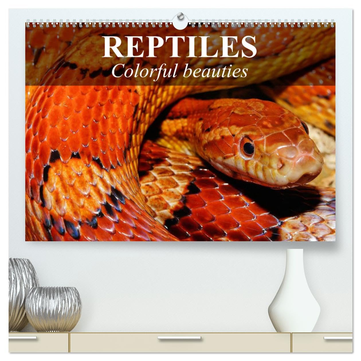 Reptiles Colorful beauties (hochwertiger Premium Wandkalender 2025 DIN A2 quer), Kunstdruck in Hochglanz Books