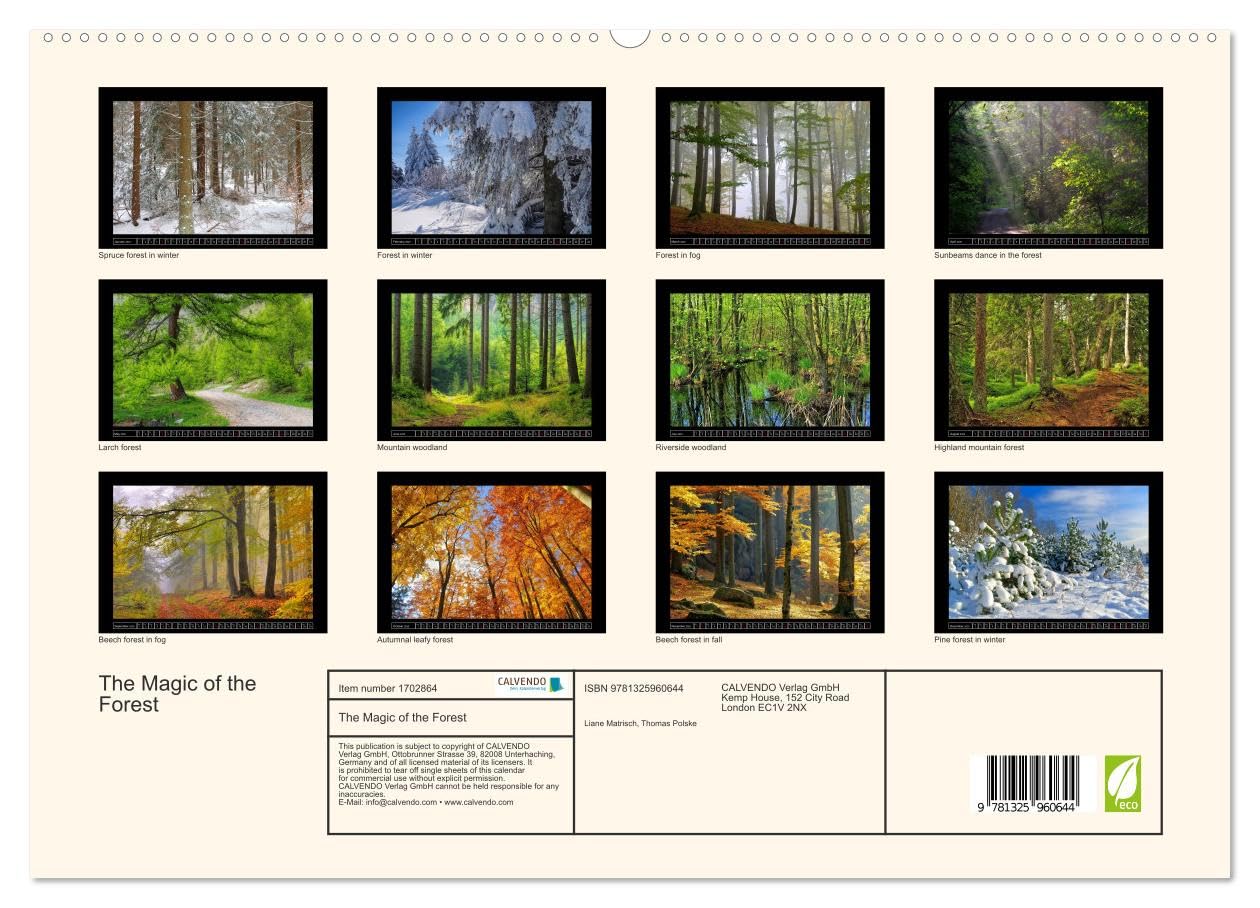 The Magic of the Forest (hochwertiger Premium Wandkalender 2025 DIN A2 quer), Kunstdruck in Hochglanz Books