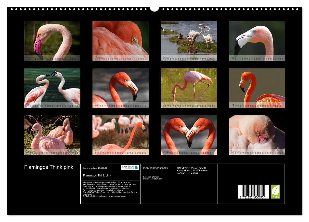 Flamingos Think pink (hochwertiger Premium Wandkalender 2025 DIN A2 quer), Kunstdruck in Hochglanz Books