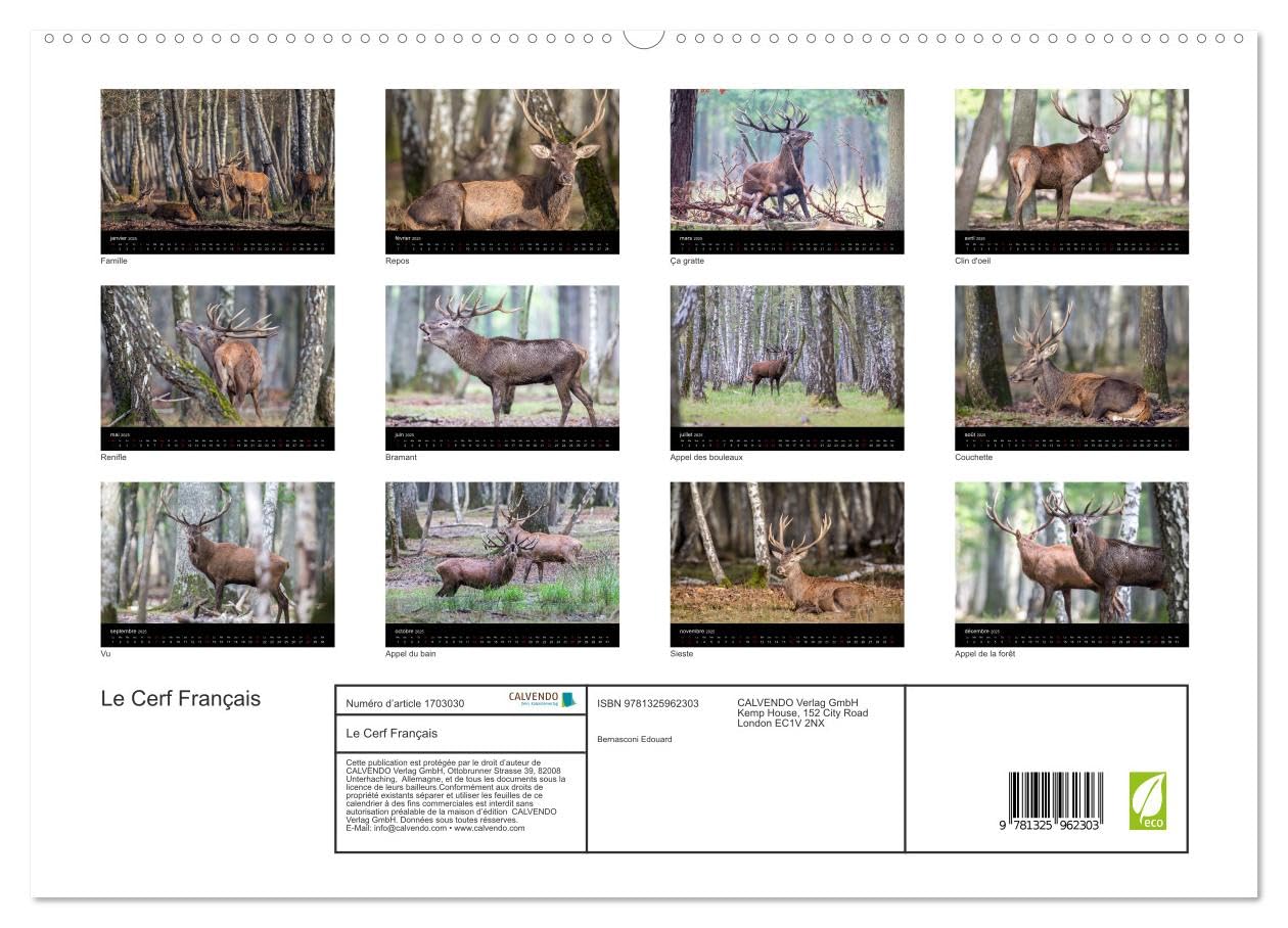 Le Cerf Français (hochwertiger Premium Wandkalender 2025 DIN A2 quer), Kunstdruck in Hochglanz Books