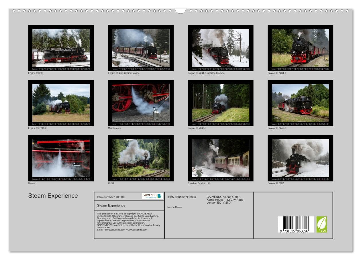 Steam Experience (hochwertiger Premium Wandkalender 2025 DIN A2 quer), Kunstdruck in Hochglanz Books