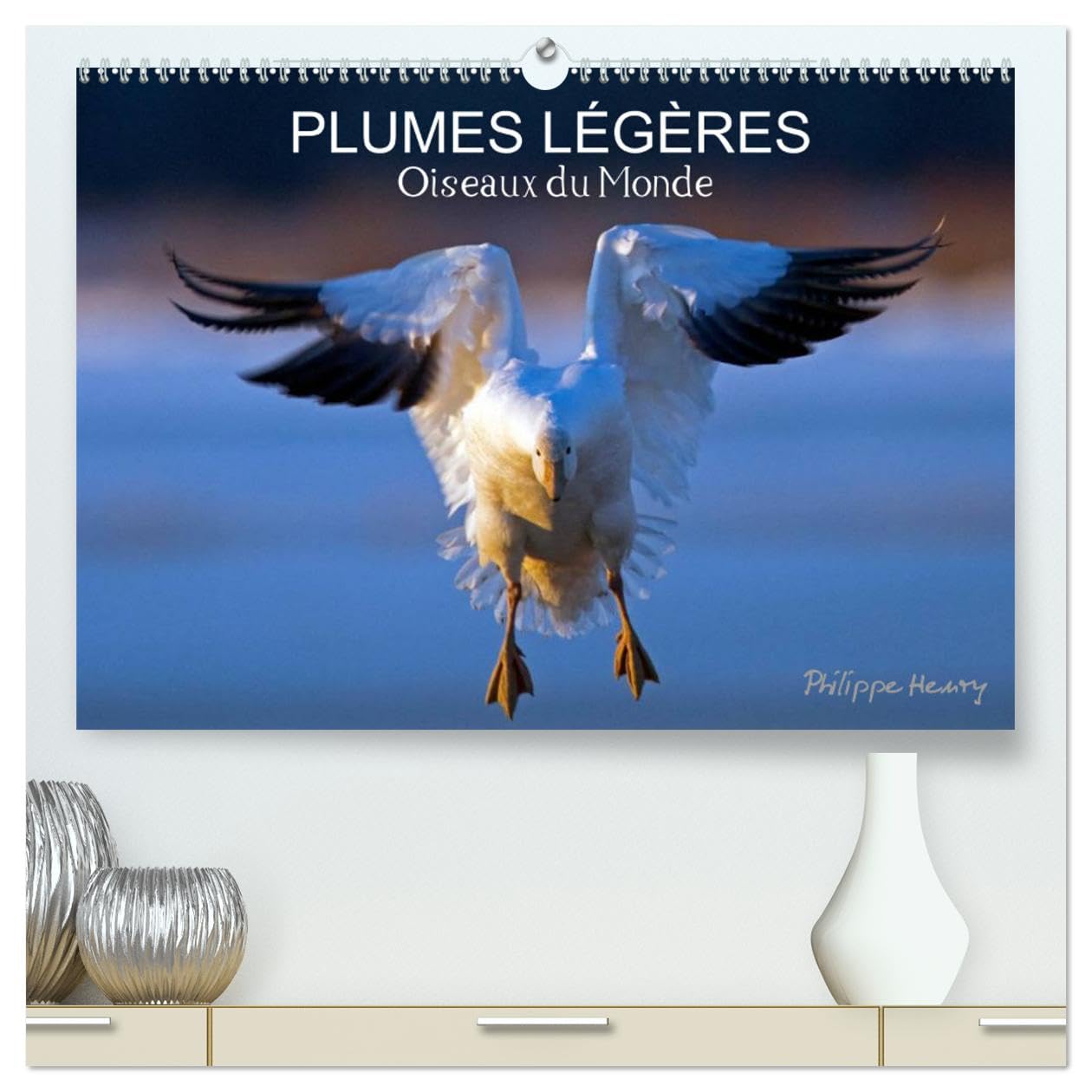 PLUMES LÉGÈRES. Oiseaux du Monde (hochwertiger Premium Wandkalender 2025 DIN A2 quer), Kunstdruck in Hochglanz Books