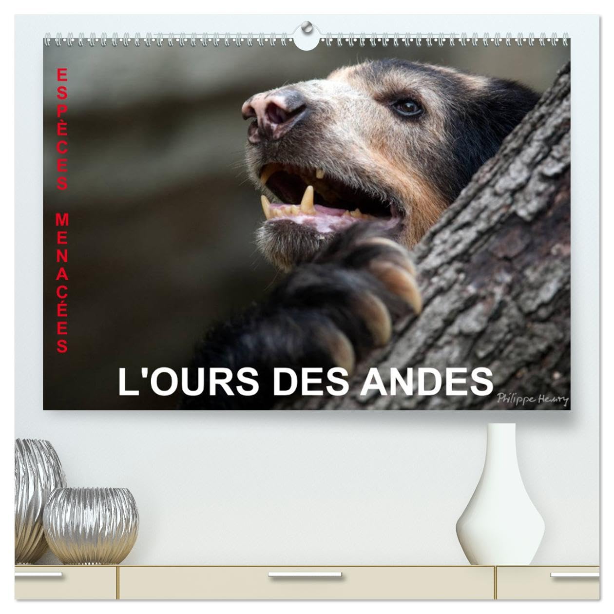 L'OURS DES ANDES. Espèces Menacées (hochwertiger Premium Wandkalender 2025 DIN A2 quer), Kunstdruck in Hochglanz Books
