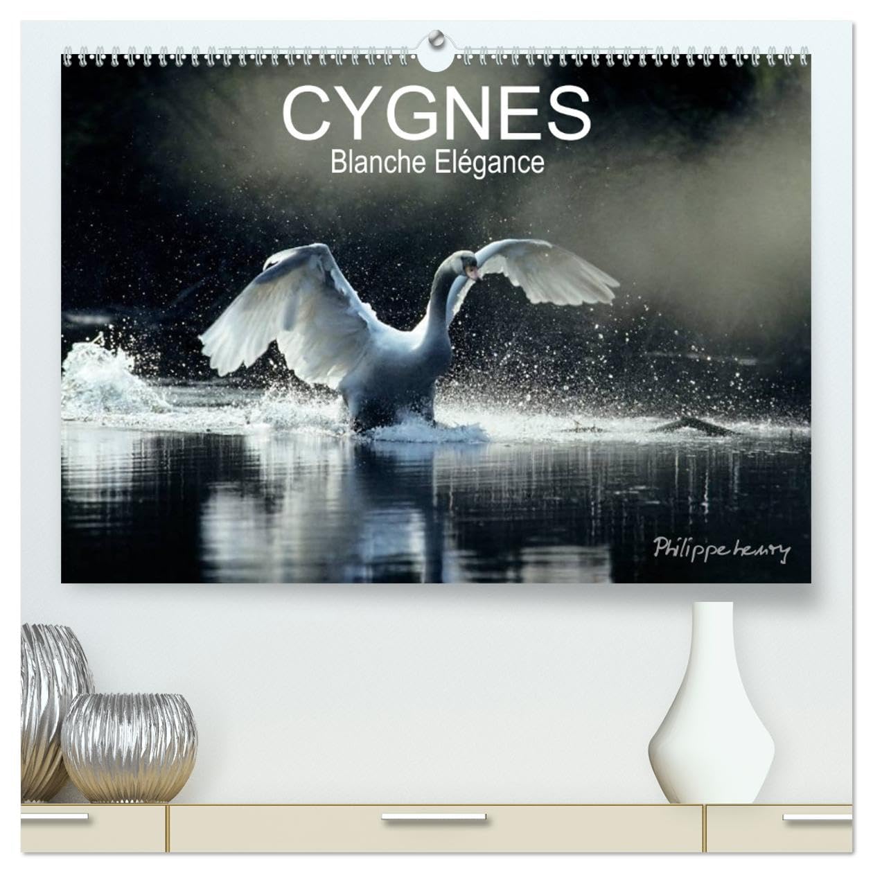 CYGNES. Blanche Elégance (hochwertiger Premium Wandkalender 2025 DIN A2 quer), Kunstdruck in Hochglanz Books