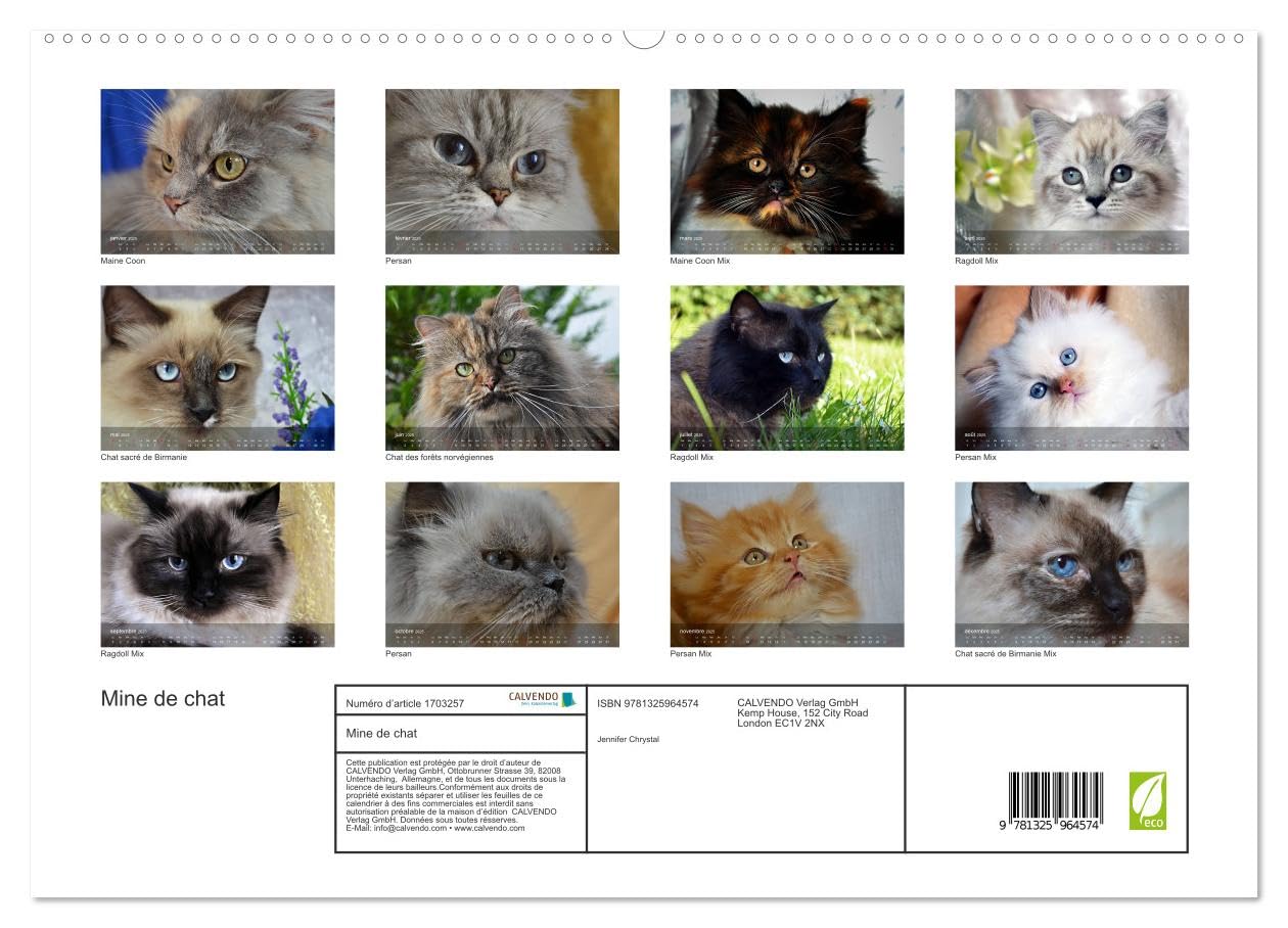Mine de chat (hochwertiger Premium Wandkalender 2025 DIN A2 quer), Kunstdruck in Hochglanz Books